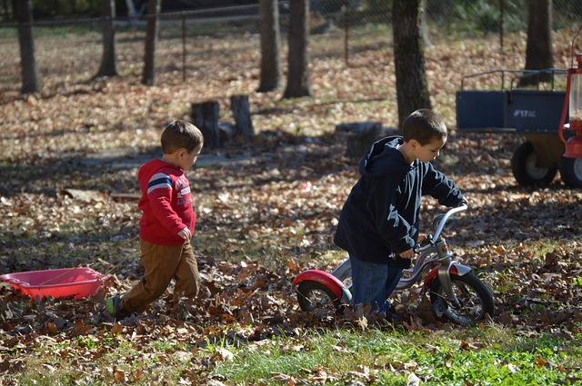 Gyerekek ősszel a szabadban