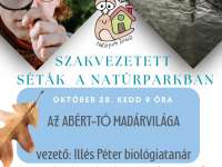 Az Abért-tó madárvilága